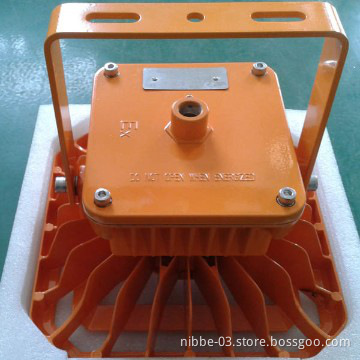 LED explosion proof bulbs
